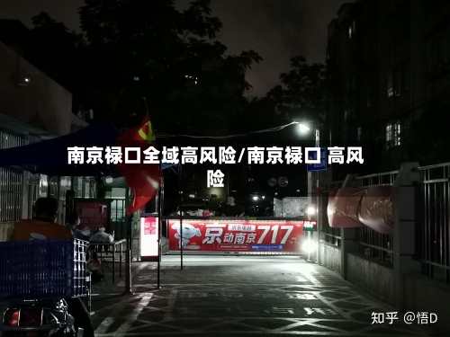 南京禄口全域高风险/南京禄口 高风险-第2张图片